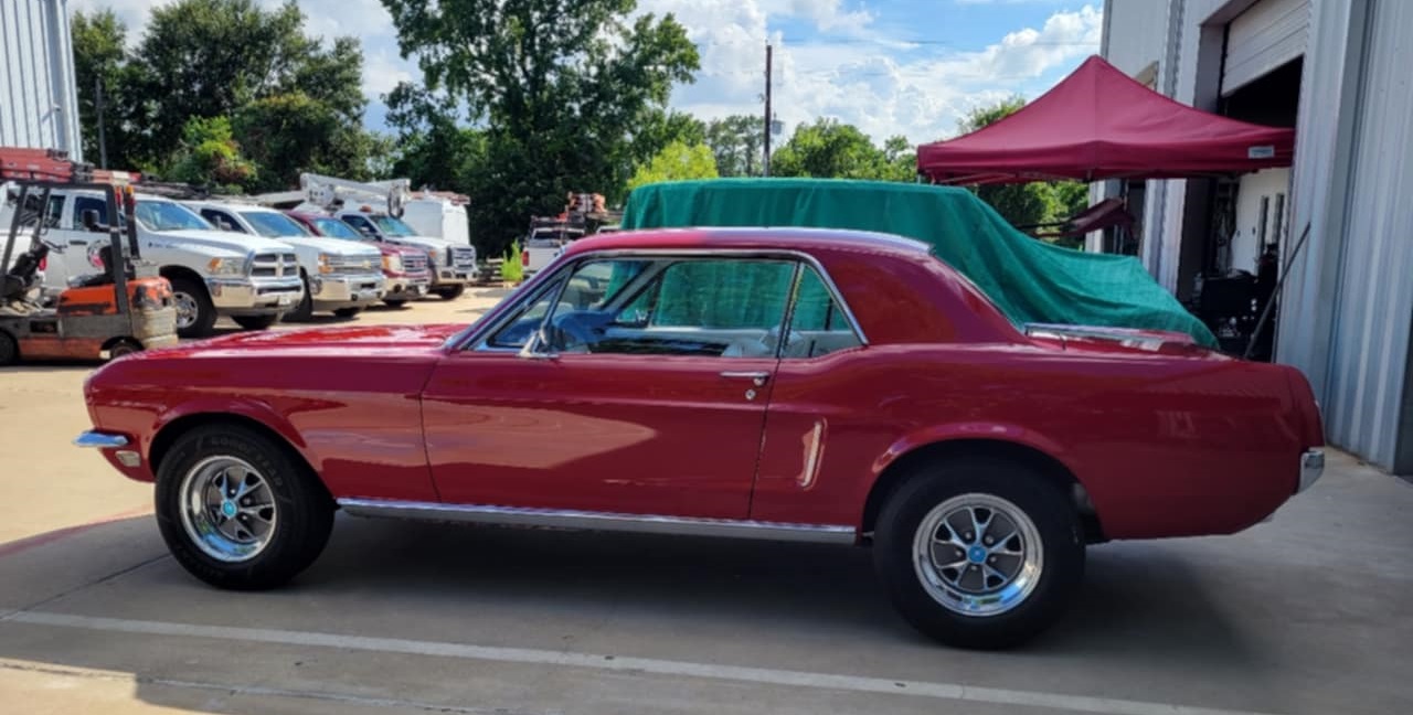 mustang